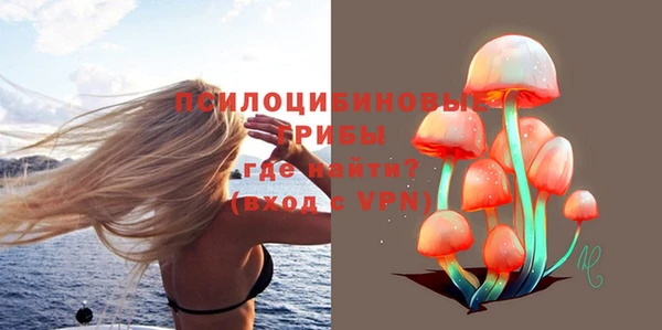 2c-b Балахна